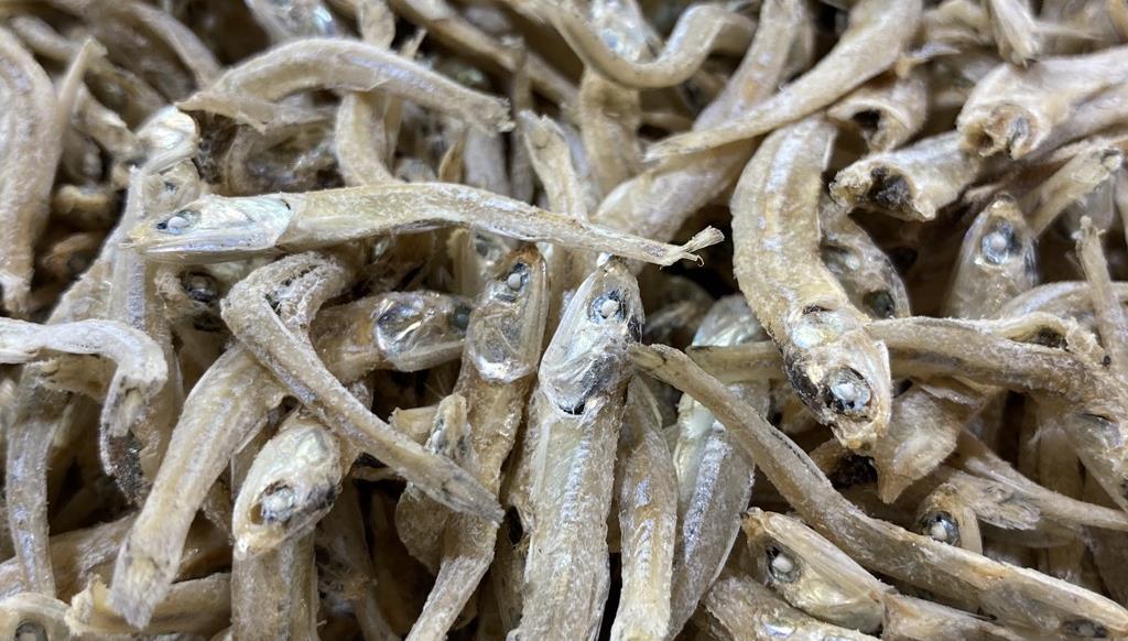 Learn about Singapore food fishes and the scientists who studied them at the 2 Oct MML!
